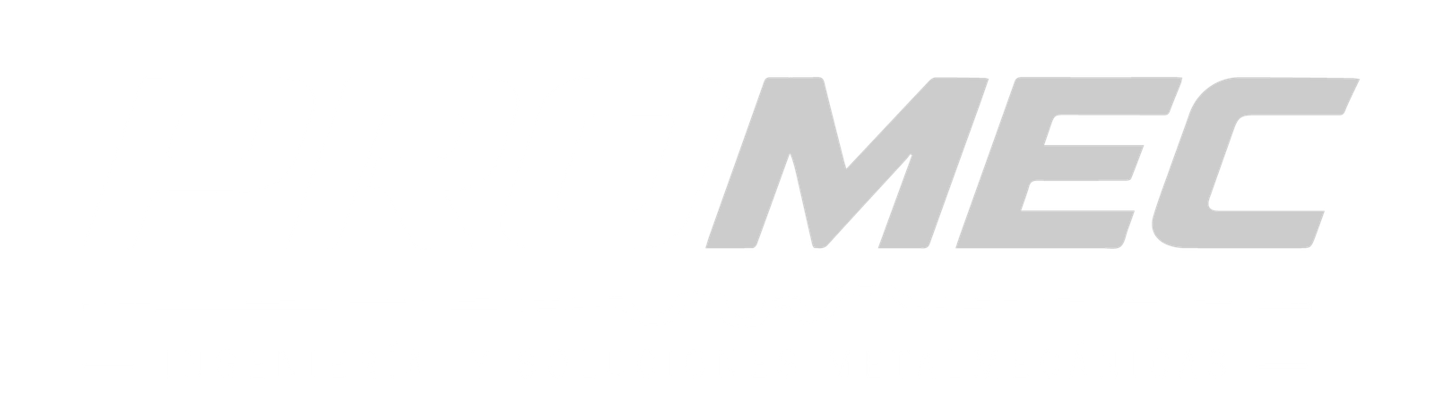 promecing.com